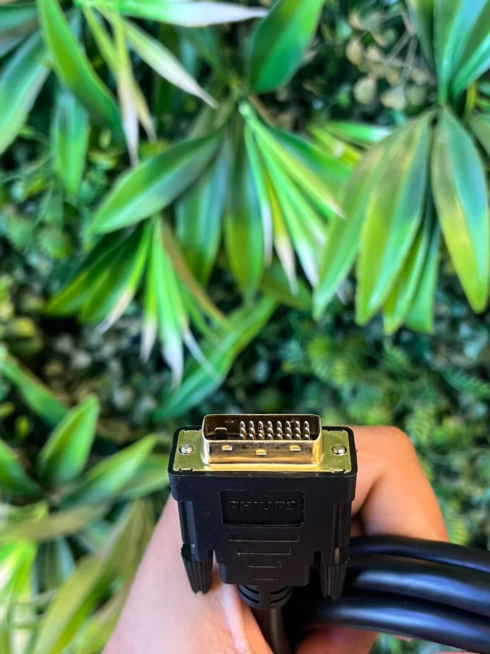 PHIILPS DVI CABLE
